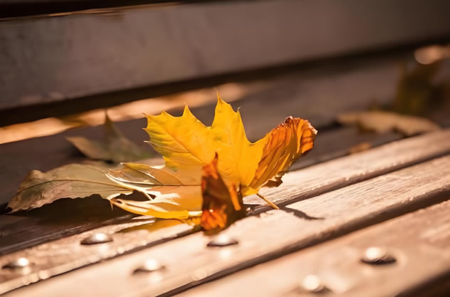 福州婚外遇调查:婚外情结束后原配要做好这四件事 福州婚外遇调查:婚外情结束后原配要做好这四件事